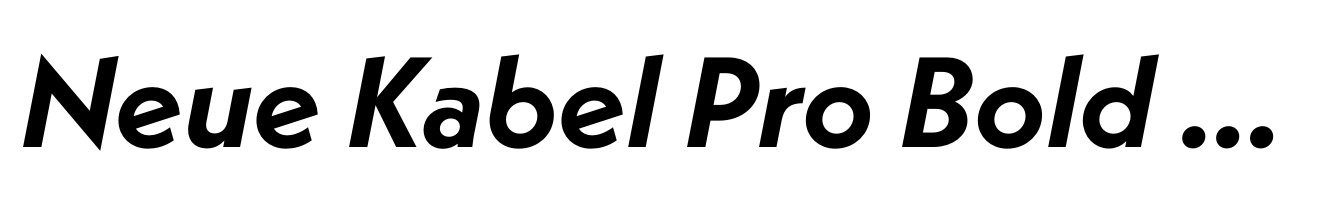 Neue Kabel Pro Bold Italic